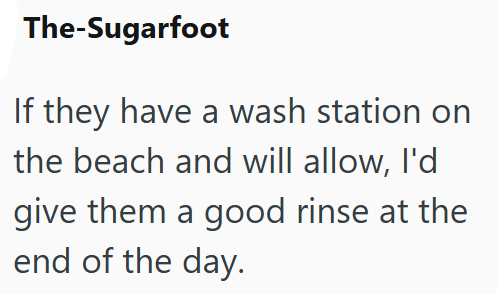 The-Sugarfoot If they have a wash station on the beach and will allow, I'd give them a good rinse at the end of the day.