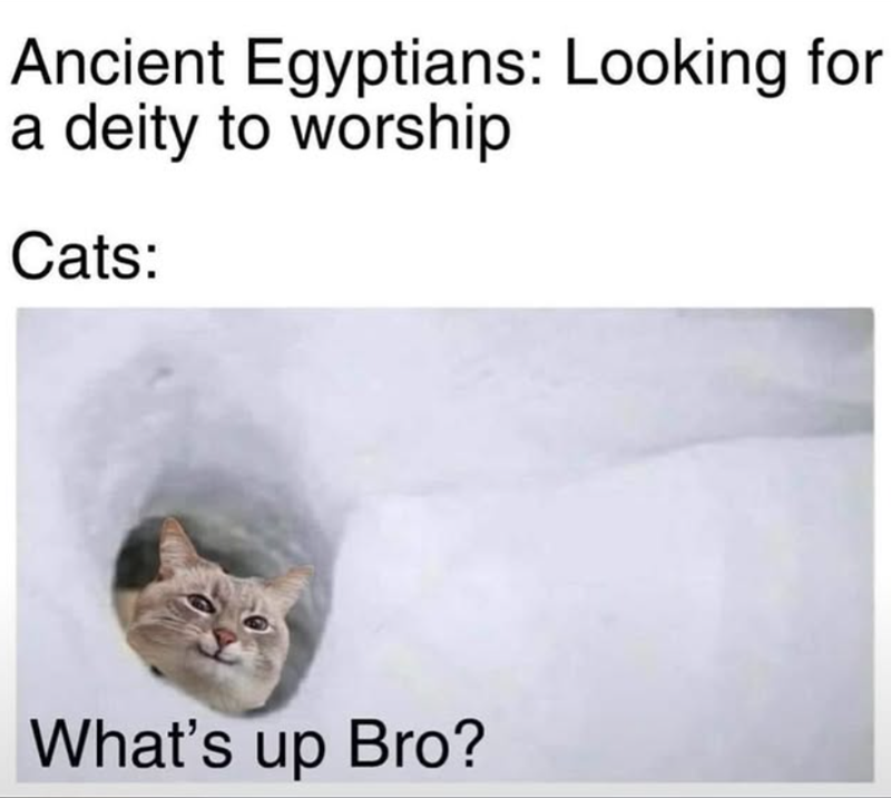 Ancient Egyptians: Looking for a deity to worship Cats: What's up Bro?