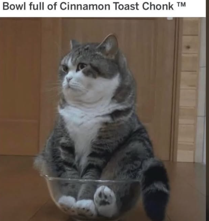 Bowl full of Cinnamon Toast Chonk T