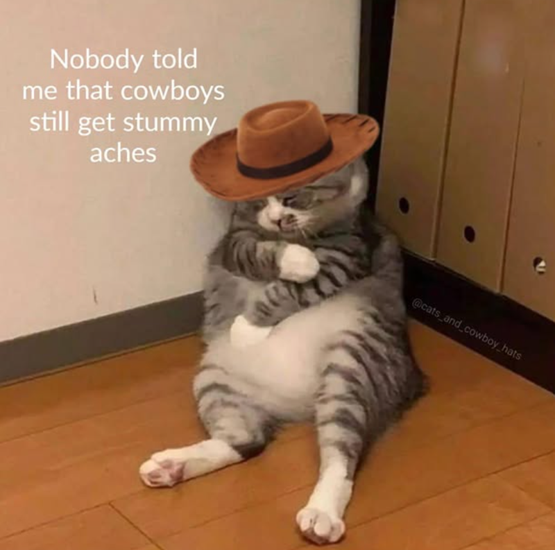 Nobody told me that cowboys still get stummy aches @cats_and_cowboy hats