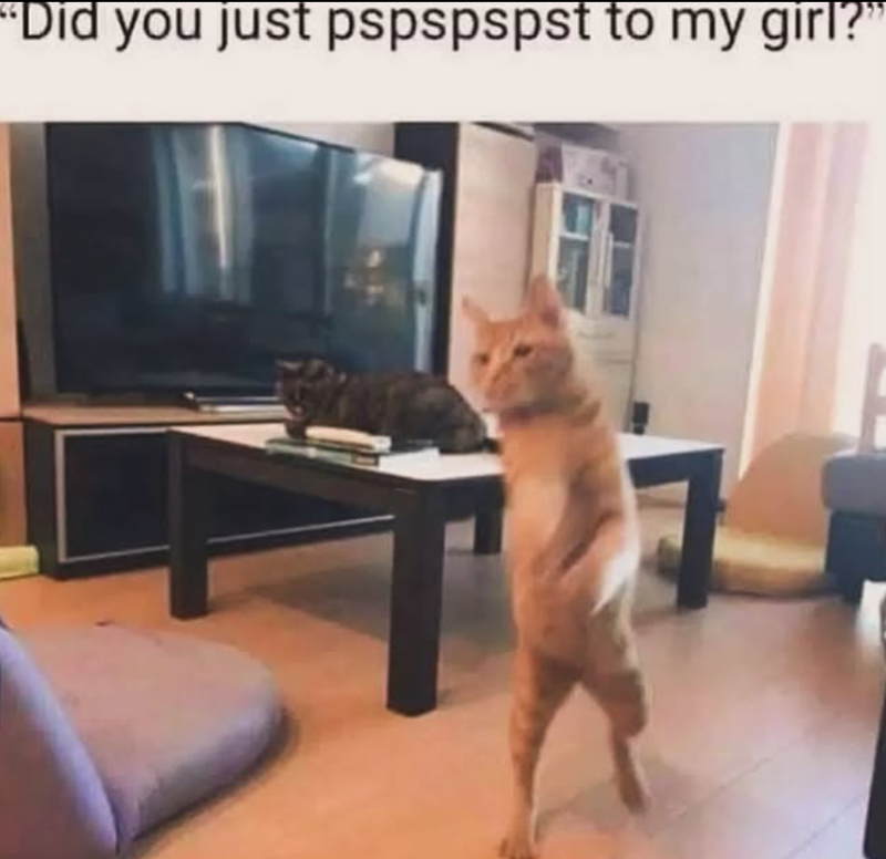 “Did you just pspspspst to my girl?"