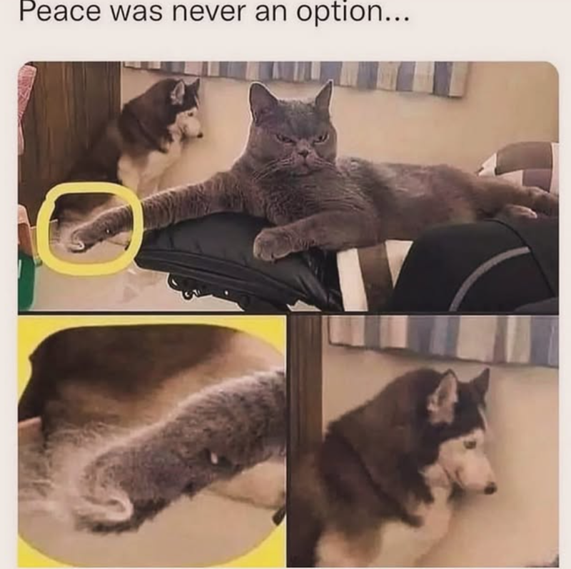 Peace was never an option...