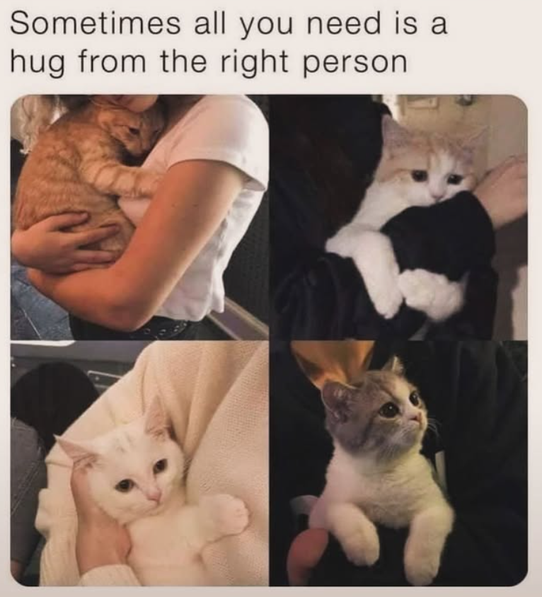 Sometimes all you need is a hug from the right person
