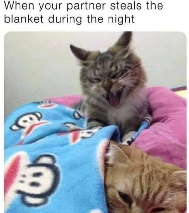 When your partner steals the blanket during the night 局