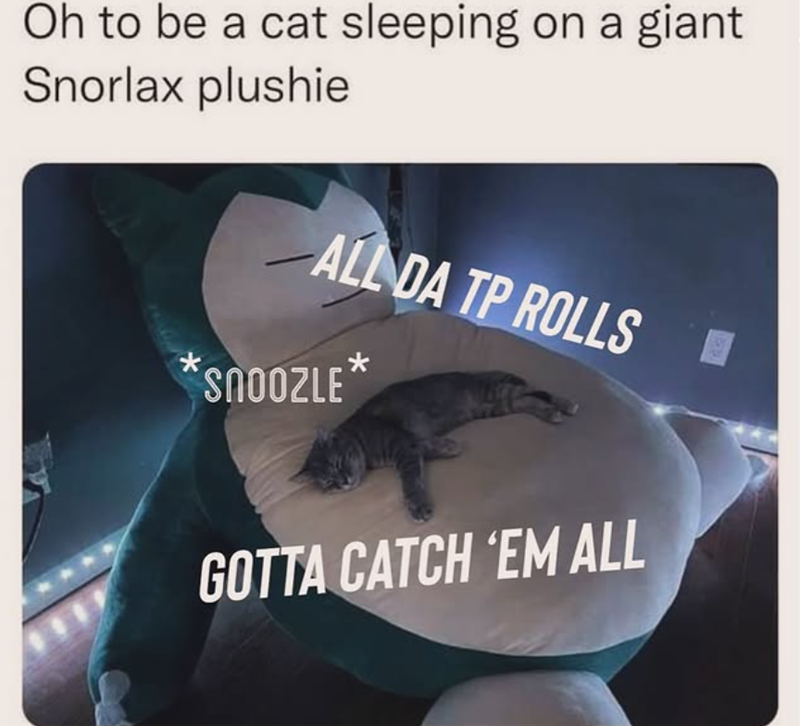 Oh to be a cat sleeping on a giant Snorlax plushie ALL DA TP ROLLS *SNOOZLE* GOTTA CATCH 'EM ALL 29