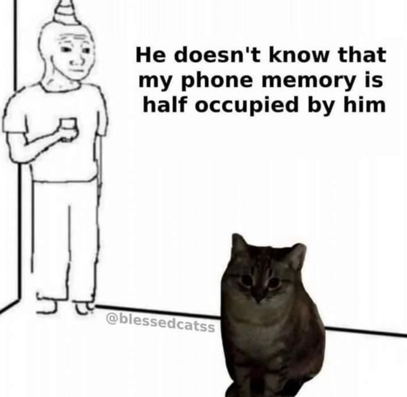 He doesn't know that my phone memory is half occupied by him @blessedcatss