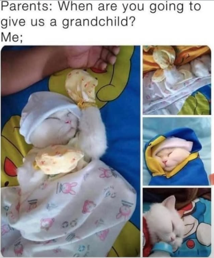 Parents: When are you going to give us a grandchild? Me; JE