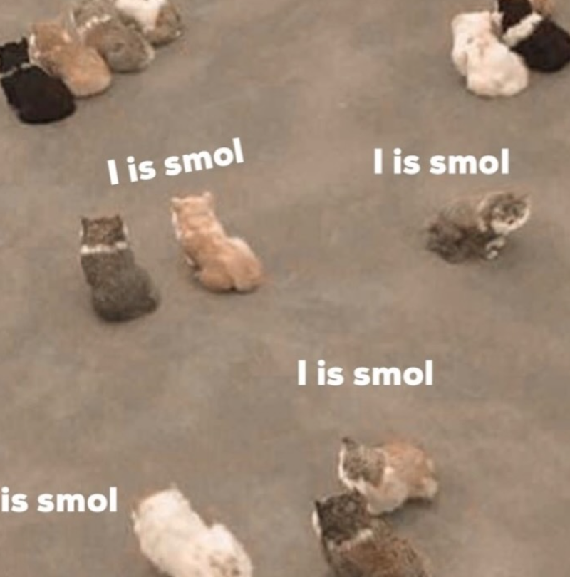 is smol I is smol I is smol I is smol