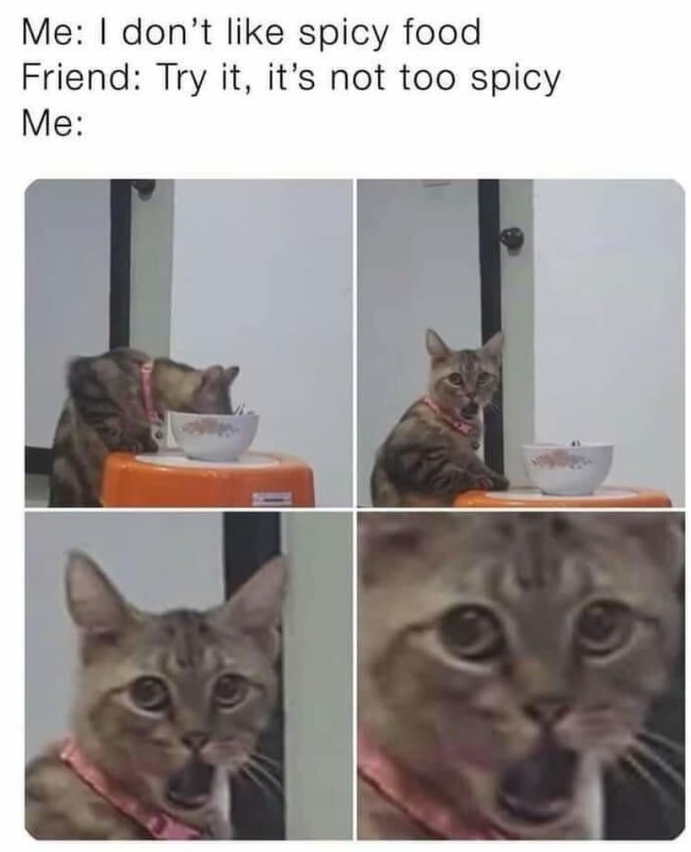 Me: I don't like spicy food Friend: Try it, it's not too spicy Me: