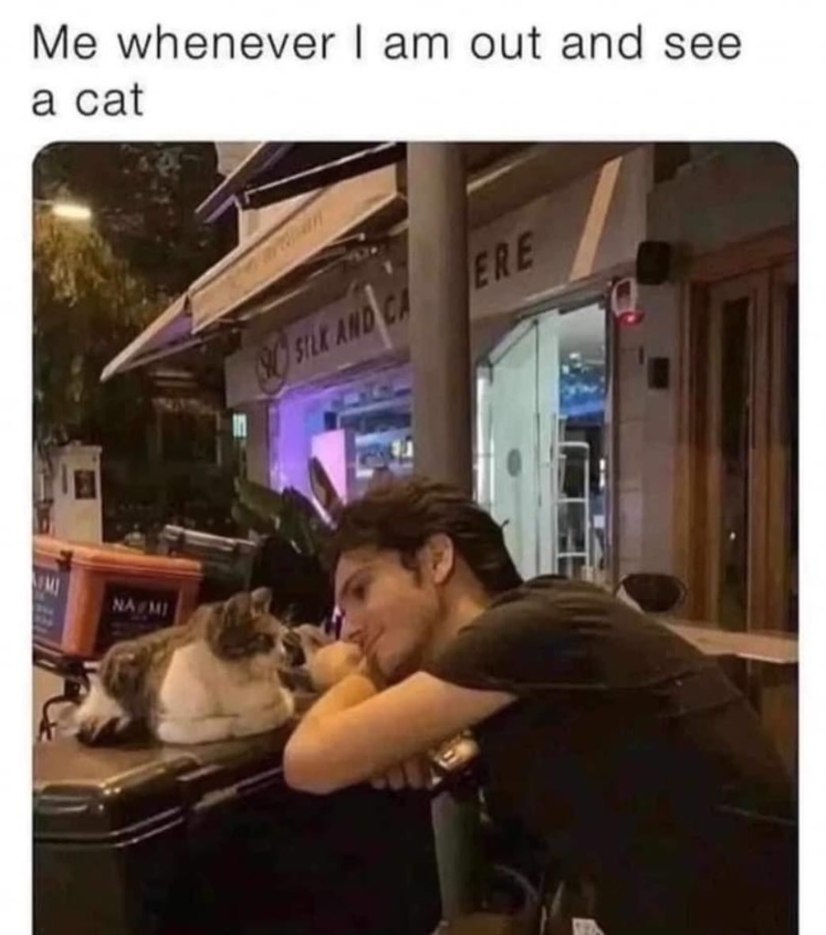 Me whenever I am out and see a cat NA MI SO SILK AND CA ERE