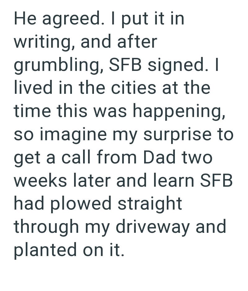 He agreed. I put it in writing, and after grumbling, SFB signed. I lived in the cities at the time this was happening, so imagine my surprise to get a call from Dad two weeks later and learn SFB had plowed straight through my driveway and planted on it.