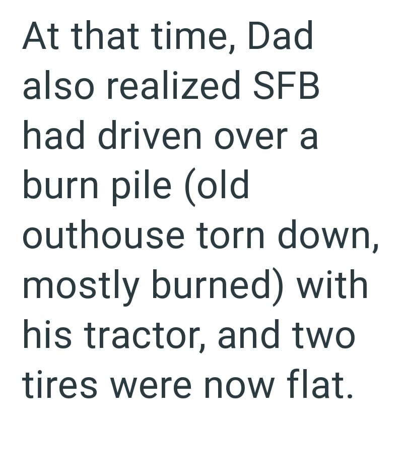 At that time, Dad also realized SFB had driven over a burn pile (old outhouse torn down, mostly burned) with his tractor, and two tires were now flat.