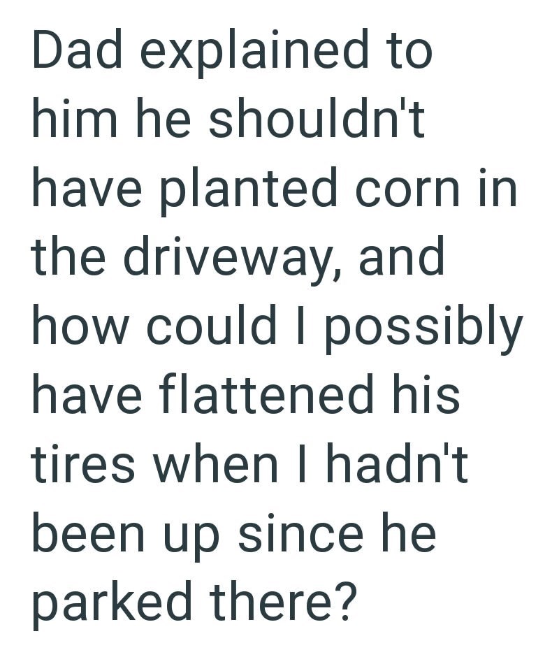 Dad explained to him he shouldn't have planted corn in the driveway, and how could I possibly have flattened his tires when I hadn't been up since he parked there?