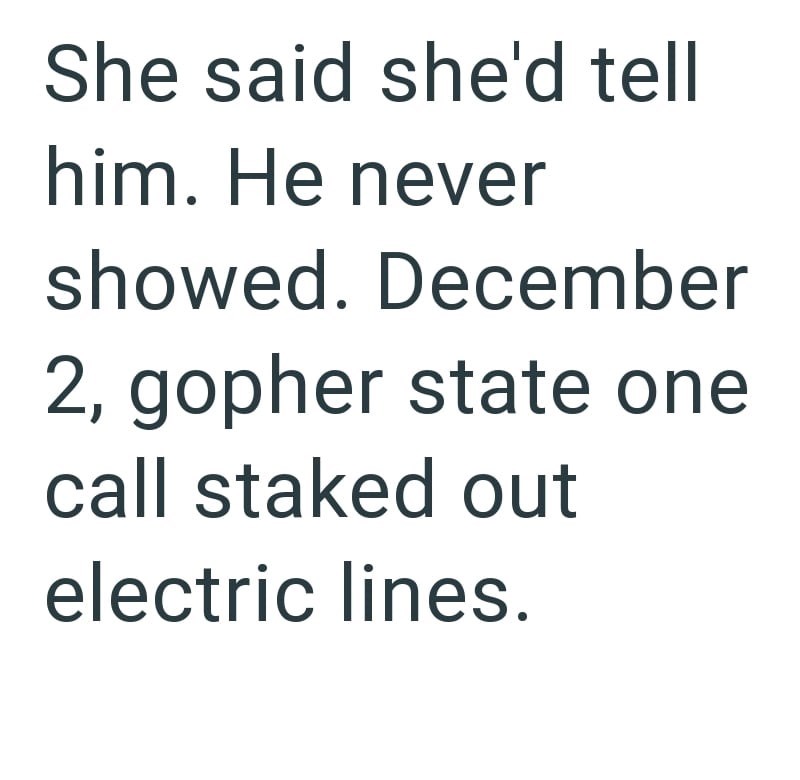 She said she'd tell him. He never showed. December 2, gopher state one call staked out electric lines.