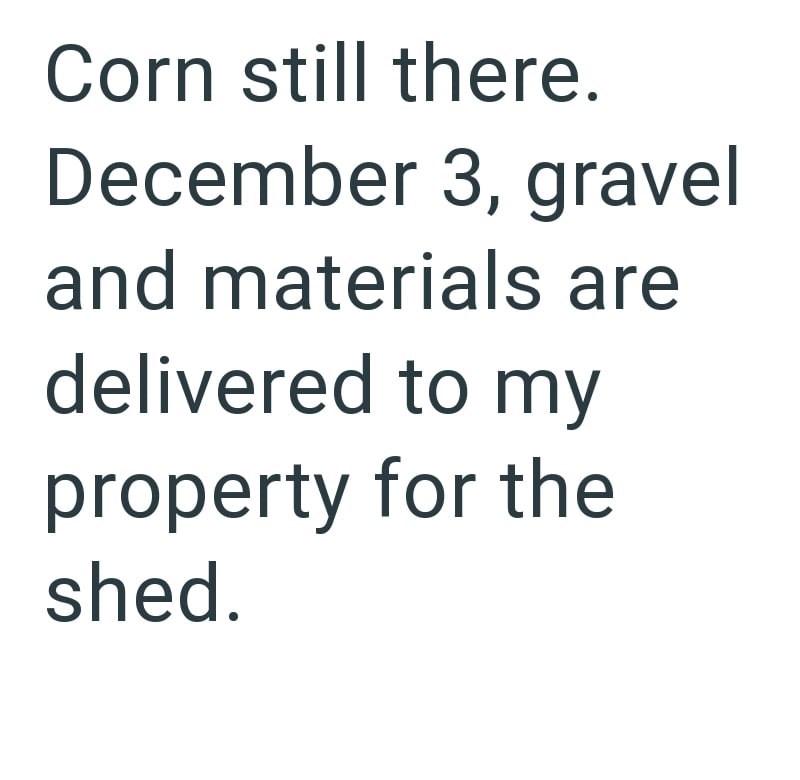 Corn still there. December 3, gravel and materials are delivered to my property for the shed.