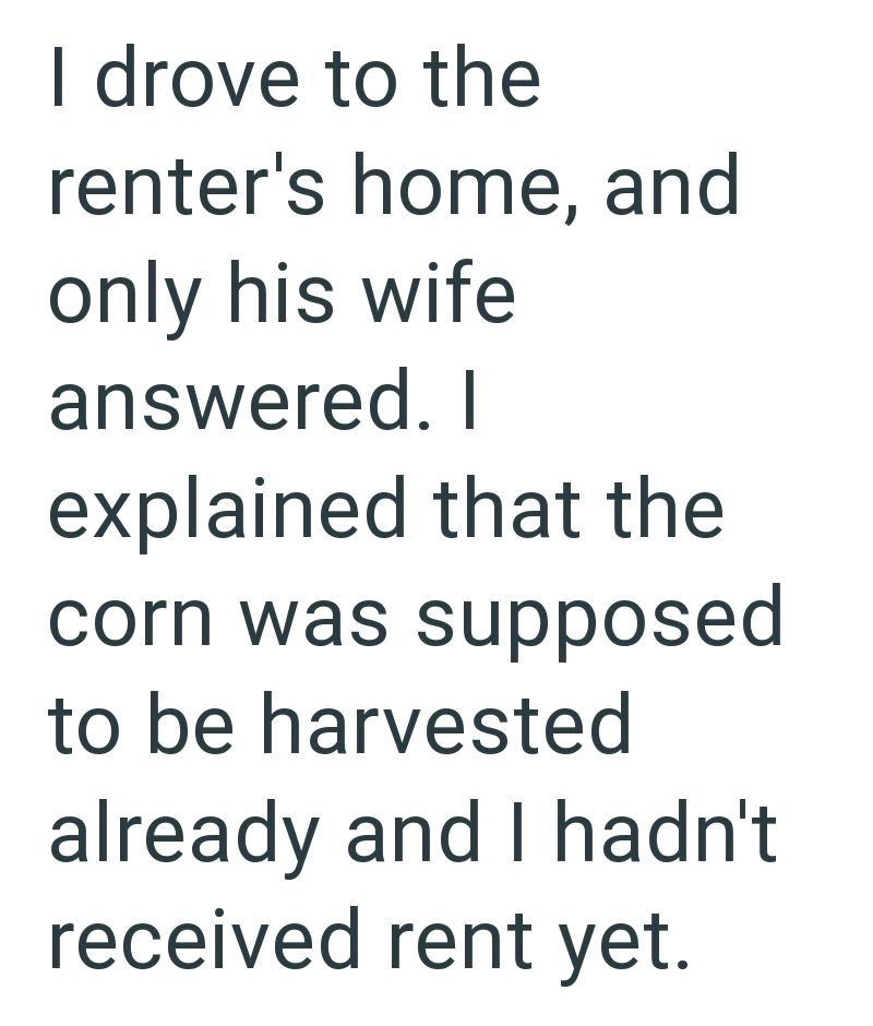 I drove to the renter's home, and only his wife answered. I explained that the corn was supposed to be harvested already and I hadn't received rent yet.