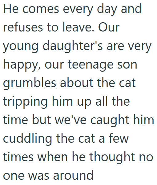 He comes every day and refuses to leave. Our young daughter's are very happy, our teenage son grumbles about the cat tripping him up all the time but we've caught him cuddling the cat a few times when he thought no one was around