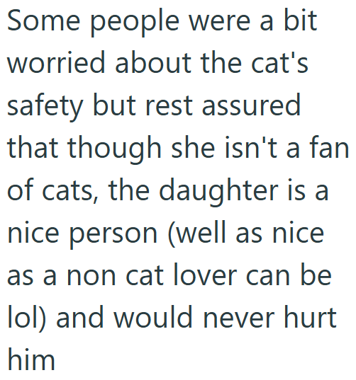 Some people were a bit worried about the cat's safety but rest assured that though she isn't a fan of cats, the daughter is a nice person (well as nice as a non cat lover can be lol) and would never hurt him