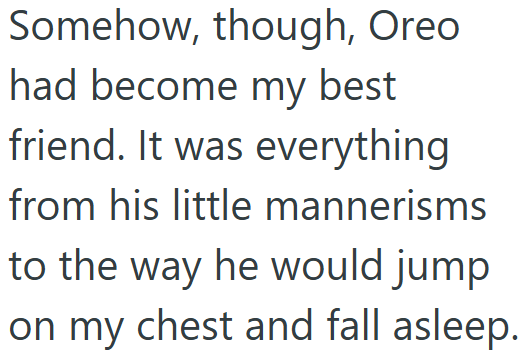 Somehow, though, Oreo had become my best friend. It was everything from his little mannerisms to the way he would jump on my chest and fall asleep.