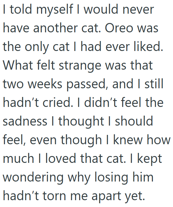 I told myself I would never have another cat. Oreo was the only cat I had ever liked. What felt strange was that two weeks passed, and I still hadn't cried. I didn't feel the sadness I thought I should feel, even though I knew how much I loved that cat. I kept wondering why losing him hadn't torn me apart yet.