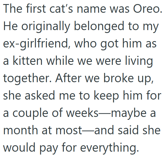 The first cat's name was Oreo. He originally belonged to my ex-girlfriend, who got him as a kitten while we were living together. After we broke up, she asked me to keep him for a couple of weeks—maybe a month at most-and said she would pay for everything.