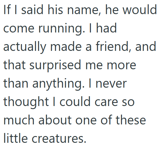 If I said his name, he would come running. I had actually made a friend, and that surprised me more than anything. I never thought I could care so much about one of these little creatures.