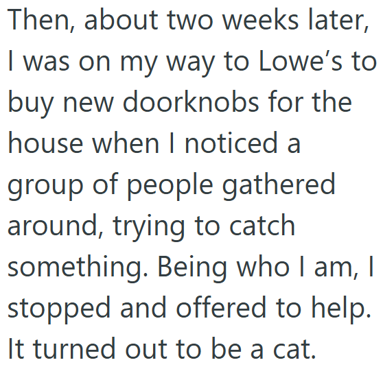 Then, about two weeks later, I was on my way to Lowe's to buy new doorknobs for the house when I noticed a group of people gathered around, trying to catch something. Being who I am, I stopped and offered to help. It turned out to be a cat.