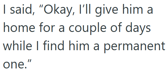 I said, "Okay, I'll give him a home for a couple of days while I find him a permanent one."