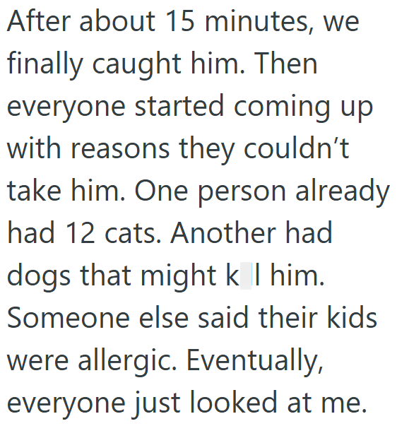 After about 15 minutes, we finally caught him. Then everyone started coming up with reasons they couldn't take him. One person already had 12 cats. Another had dogs that might k | him. Someone else said their kids were allergic. Eventually, everyone just looked at me.