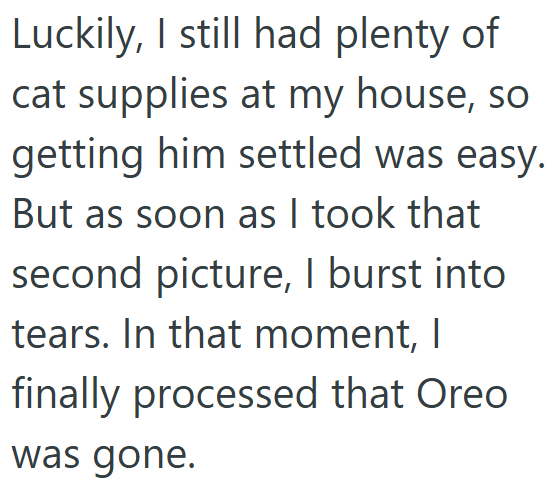 Luckily, I still had plenty of cat supplies at my house, so getting him settled was easy. But as soon as I took that second picture, I burst into tears. In that moment, I finally processed that Oreo was gone.