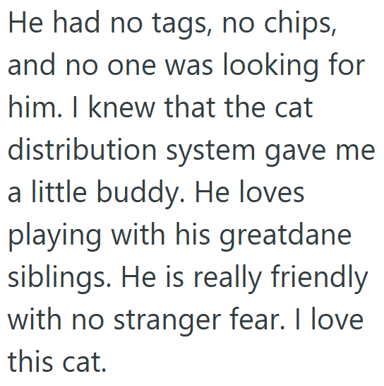 He had no tags, no chips, and no one was looking for him. I knew that the cat distribution system gave me a little buddy. He loves playing with his greatdane siblings. He is really friendly with no stranger fear. I love this cat.