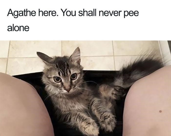 Agathe here. You shall never pee alone