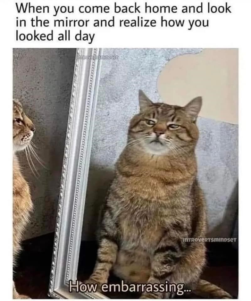 When you come back home and look in the mirror and realize how you looked all day intRover Sminnser INTROVERTSMINDSET How embarrassing...