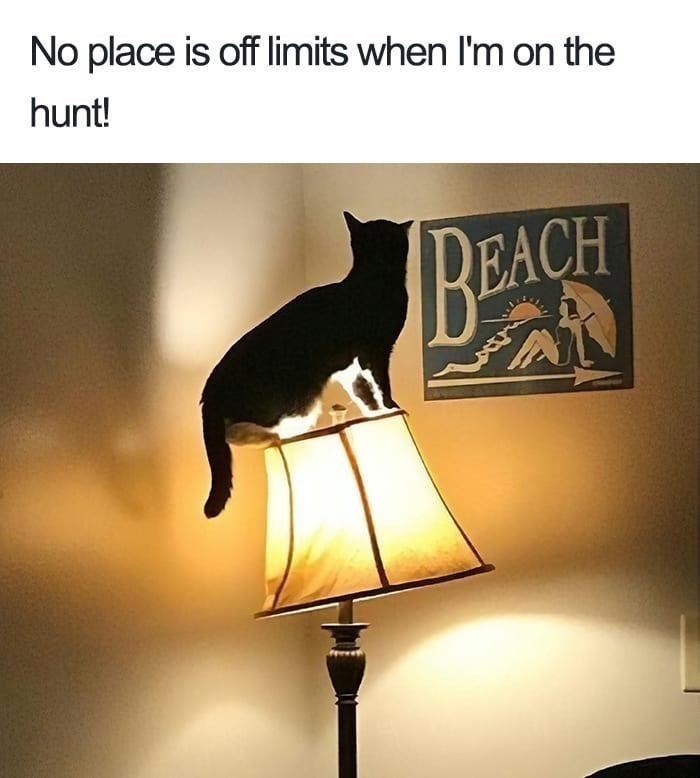No place is off limits when I'm on the hunt! BEACH