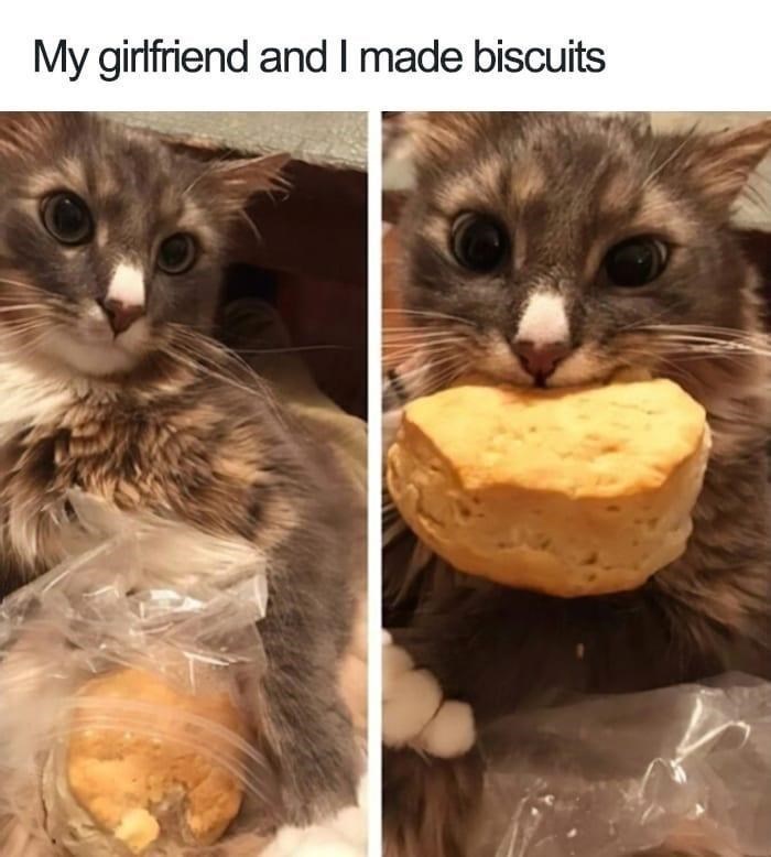 My girlfriend and I made biscuits