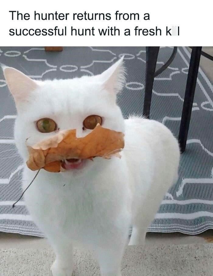 The hunter returns from a successful hunt with a fresh k |