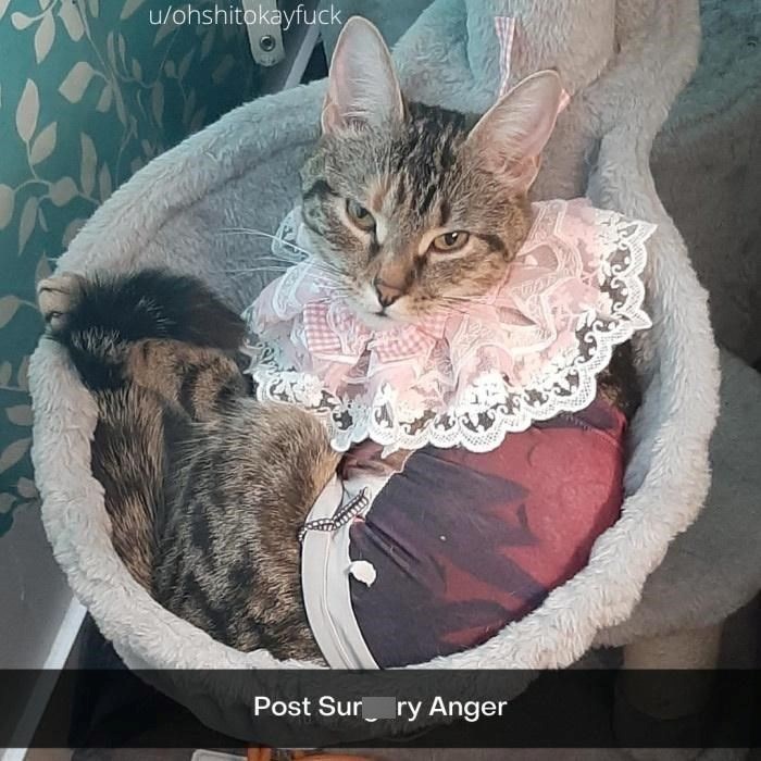 u/ohshitokayfuck Post Sur ry Anger