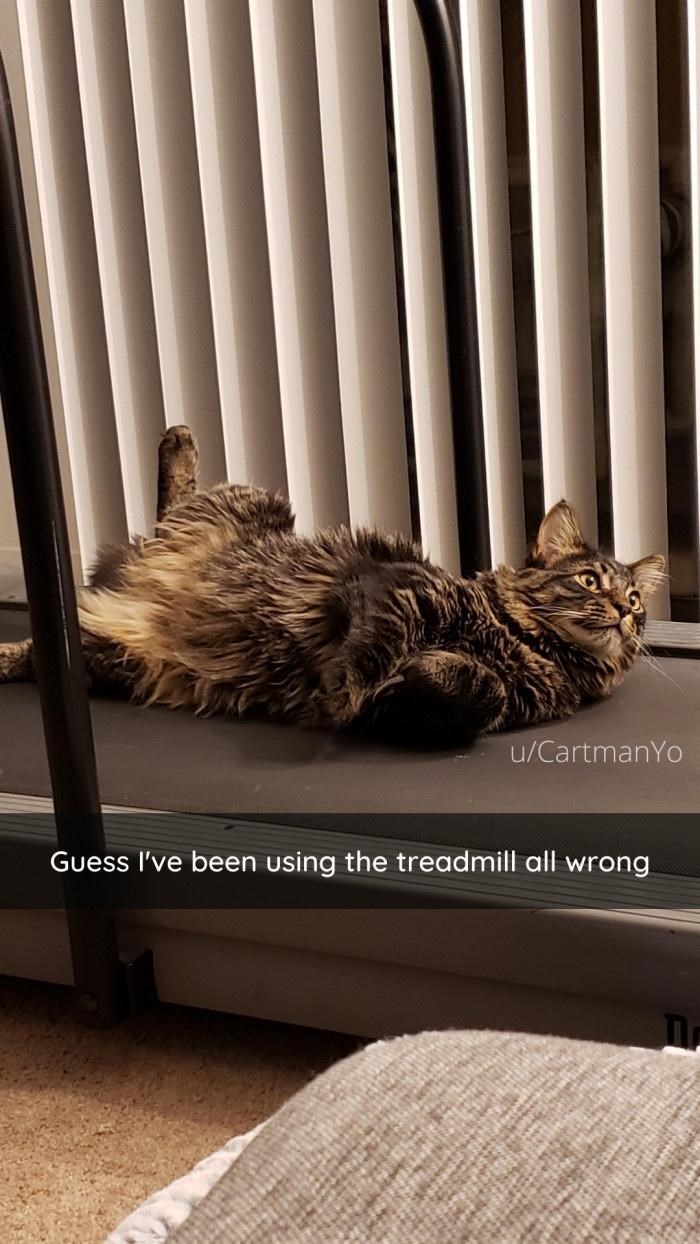 u/CartmanYo Guess I've been using the treadmill all wrong