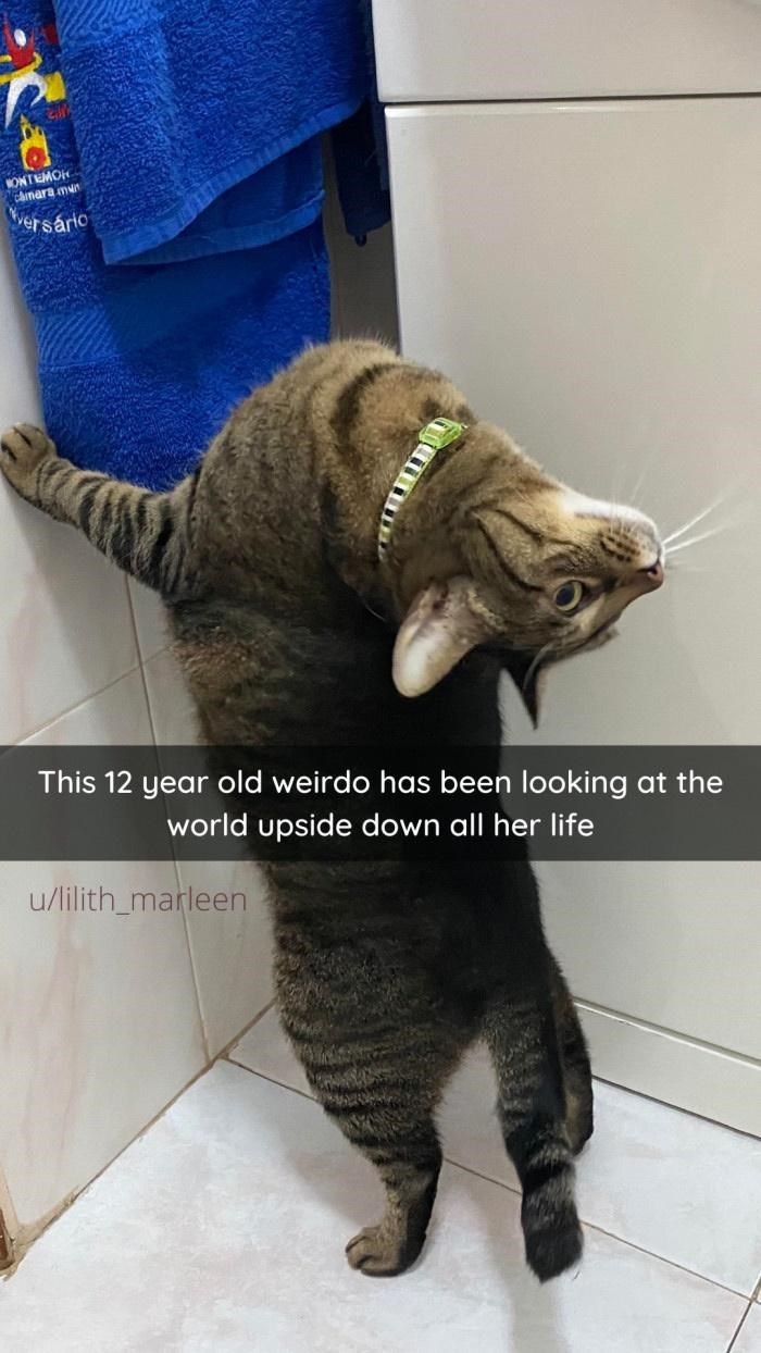 MONTMOR cainara mun versário This 12 year old weirdo has been looking at the world upside down all her life u/lilith_marleen