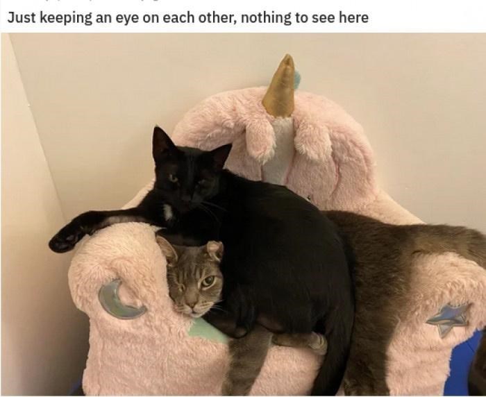 Just keeping an eye on each other, nothing to see here