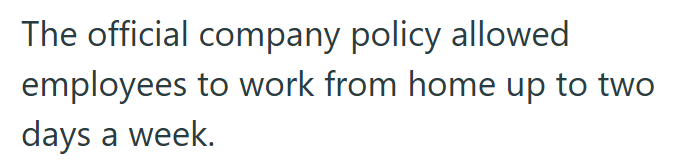 The official company policy allowed employees to work from home up to two days a week.