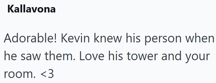 Kallavona Adorable! Kevin knew his person when he saw them. Love his tower and your room. <3