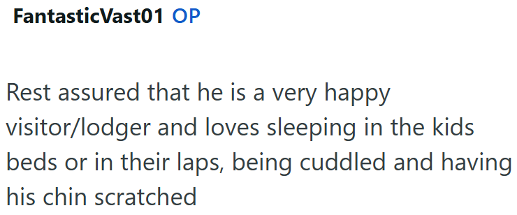 FantasticVast01 OP Rest assured that he is a very happy visitor/lodger and loves sleeping in the kids beds or in their laps, being cuddled and having his chin scratched
