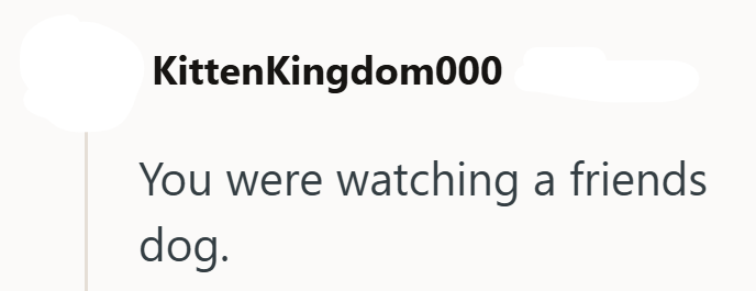 KittenKingdom000 You were watching a friends dog.