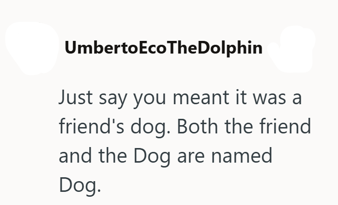 Umberto EcoTheDolphin Just say you meant it was a friend's dog. Both the friend and the Dog are named Dog.
