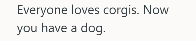 Everyone loves corgis. Now you have a dog.