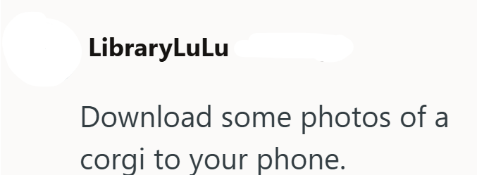 LibraryLuLu Download some photos of a corgi to your phone.