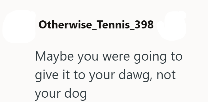 Otherwise Tennis_398 Maybe you were going to give it to your dawg, not your dog