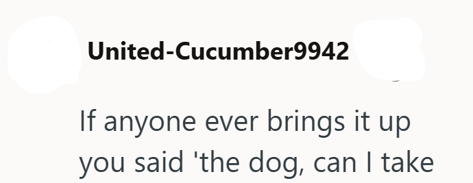 United-Cucumber9942 If anyone ever brings it up you said 'the dog, can I take