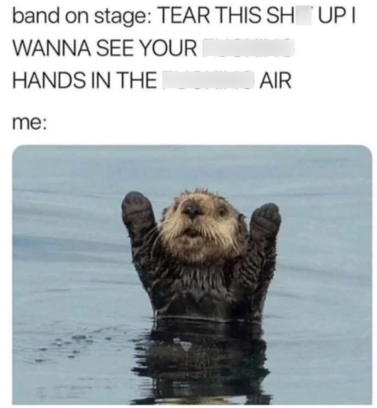 band on stage: TEAR THIS SHIT UP I WANNA SEE YOUR FUCKING HANDS IN THE FUCKING AIR me: E